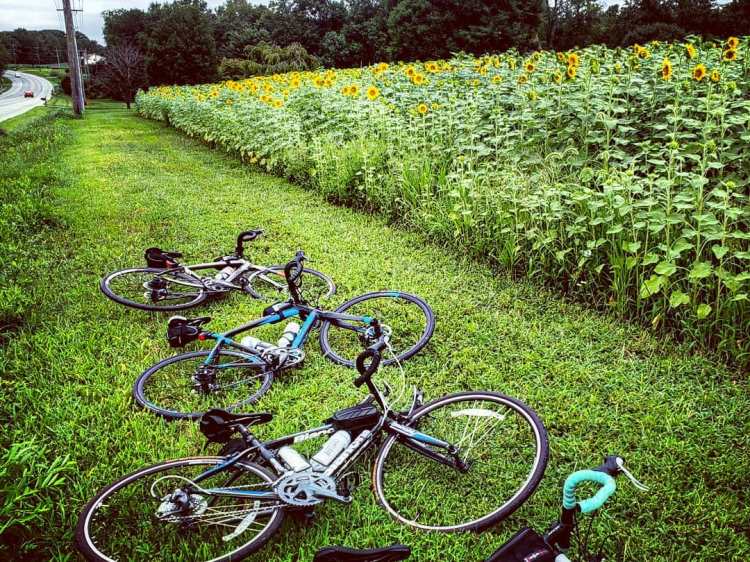 W4W || Day 2: 95 MILES, (4.5K FT&nbsp;ELEVATION)